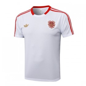 FC Bayern Mnichov Anniversary 2024-25 - Fotbalové Dresy (S/S)
